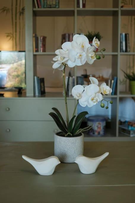 Apartment With Garden In Thessaloniki. Luaran gambar